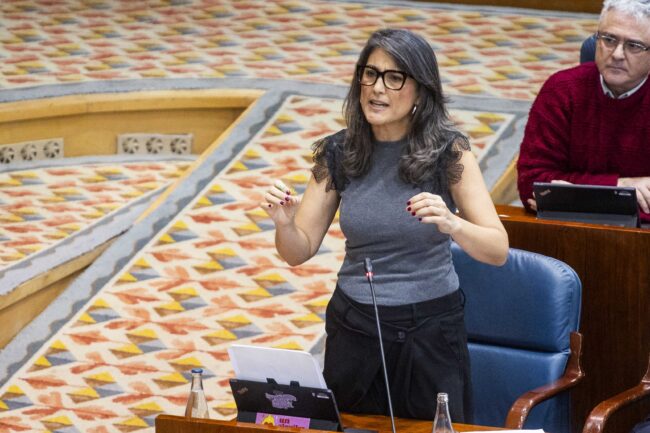 La portavoz de Más Madrid en la Asamblea, Manuela Bergerot, durante el Pleno de la Asamblea de Madrid. Bruno Thevenin.