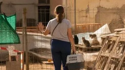 Mujer ante colonias felinas