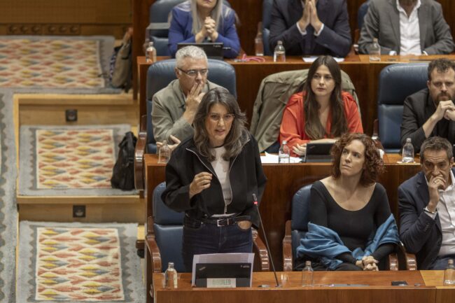 La portavoz de Más Madrid en la Asamblea, Manuela Bergerot.
